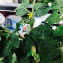 농업회사법인세경팜(주) 이미지