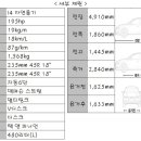 디렌트카 주식회사