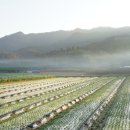 경천애인마을 이미지