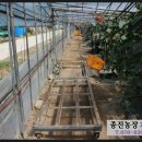 종진농장 이미지