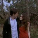 마른언니