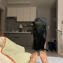 11260-1-21-1(소형) | 10평 원룸 소형냉장고 후기 - 삼성 2도어 255L 냉장고 내돈내산 용량 사이즈 후기 RT25NARAHS8