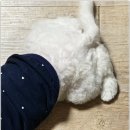 미니퍼피