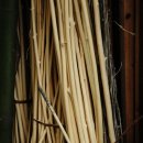 벌랏마을 선우네 이미지