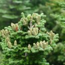 국립종자관리소 이미지