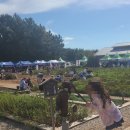 고인돌목장 이미지