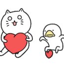 설악셀프빨래방 이미지