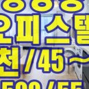 대신펠리체 이미지