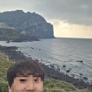 타이어직매장터미널 | 12.2-12.4 🌺제주동쪽 2박3일 여행기록🍊