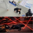 고양오금초등학교 | 신학기적응프로젝트1탄 경찰과도둑 후기