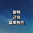 비전3로 | 평택시 근처 블루핸즈 현대자동차 서비스센터 정보 추천 | 자동차검사 예약 후기 정기검사 검사비용 위치