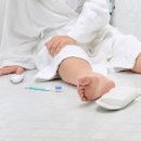 팽성북로 이미지