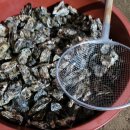 빨간산농장 이미지