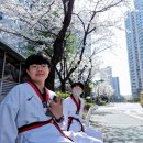 백두 태권도장 이미지