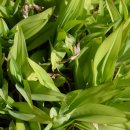 산너머강촌 이미지