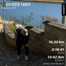 한솥도시락 밀양 삼문점 | 2025.11.21 국토대장정 서울에서 부산까지 13일차 ( 청도 ➡️ 밀양 14km )