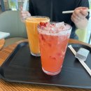 왕길점 기아오토큐발전소 | [일상 포토덤프] 유명 발전소 6화