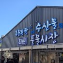 강수수산