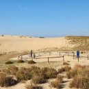 황금언덕 이미지