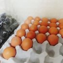 은파공업사 이미지