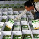 건강의향기 이미지