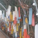 양촌여울체험캠프 이미지