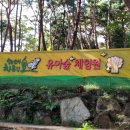 창원 편백치유의숲 유아숲체험원 이미지