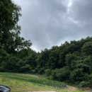 횡성농협 하나로마트 이미지