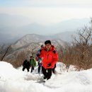 정상 이미지