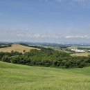 한우목장 이미지