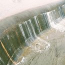 소나무 한우 목장 이미지