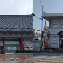 송백로-2 이미지