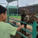 센트럴 곤충생태농장 이미지