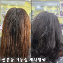 신봉동 미용실 새치염색 큐사랑 신봉점