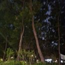 10월 3일 - 걷기 이미지