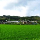 임실치즈마을 이미지