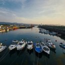 이호해변 이미지