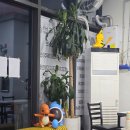 제주밥상 | 나주맛집 김치찌개 제대로, 나주혁신도시점심 제주밥상 솔직 후기