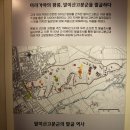 함안박물관 이미지