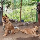 북면 종합복지회관 이미지