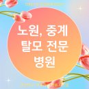 백병원 맞은편 | 노원, 중계 백병원 맞은편 탈모 전문 병원