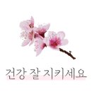 요쿠야마치여수