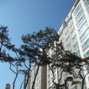 우남퍼스트빌203 | 김포오스타파라곤 203동 XX4호 새집증후군제거 새집...김포점 시공기/ 김포우남퍼스트빌 김포쌍용예가...