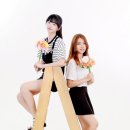 미스터포 이미지