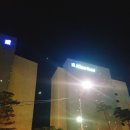 얼레이(ALLEE) 이미지