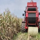 충청 축산 이미지