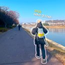 10코스 | [2025 울산태화강 전국걷기대회] 10km 걷기코스 후기 :: 대혜자대회 💕