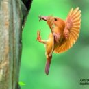 옥산세천 이미지