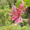 에덴농원 이미지