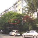 부림동-2 이미지